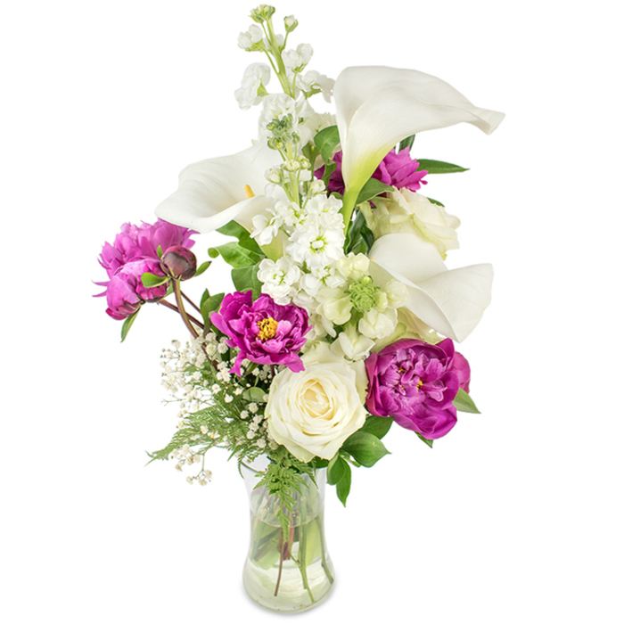 A tall, refined bouquet arranged in a gently curved clear glass vase, composed to balance clean modern lines with soft garden romance. White calla lilies arc gracefully upward; their smooth, porcelain-like trumpets and pale yellow spadices catch the light and lend the design a sculptural, minimalist focal point. Surrounding these, deep magenta peonies deliver sumptuous colour and texture - two fully open blooms display layers of densely ruffled petals in vivid fuchsia tones near the base, while a smaller closed bud promises future bloom. A single creamy white rose nestles near the lower centre, its tight spiral of petals offering a timeless, quiet elegance against the peonies' exuberance. A tall spire of white stock, its abundance of small clustered flowers forming a larkspur-like vertical accent, brings height and soft texture, and delicate sprigs of baby's breath are interspersed to create an airy, cloud-like fill that softens transitions. Rich green foliage - from narrow ferny fronds to broader glossy leaves - frames the composition and provides depth; the transparent vase reveals the stems in clear water, emphasising freshness and honest construction. Subtle floristry details - considered spacing, the play of light on velvety petals, and the contrast between sleek calla lines and peony ruffles - give this bouquet an uplifting, celebratory mood. Ideal for marking a special birthday, an anniversary, or to send as a thoughtful gesture, it feels as fitting on a mantel near The Ridgeway as it would on a dining table in Mill Hill Broadway.