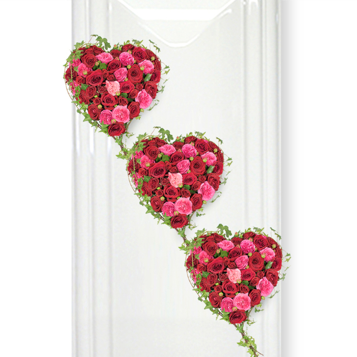 In this image, a trio of heart-shaped floral tributes is displayed in a graceful vertical cascade, each one fashioned entirely from fresh roses that radiate love and remembrance. The hearts are arranged from top left to bottom right, gently overlapping in the viewer's line of sight, reminiscent of the soft, rolling contours around Mill Hill and the quiet streets near the Broadway. Each heart is filled edge-to-edge with roses in shades of rich crimson, bold fuchsia, and gentle blush pink, with petals layered so densely that they create a lush, cushioned texture. The darker red roses lend a sense of depth and seriousness appropriate to a funeral or memorial, while the bright and pastel pink blooms soften the mood, adding notes of tenderness and hope. Some roses are newly opened, their centres still tight, while others spread wide in full bloom, catching the light and casting fine shadows that give the arrangement a three-dimensional feel. Around the outer curves of each heart, slender ivy vines trace an elegant outline, the small, glossy green leaves adding a natural, slightly wild element to the otherwise structured design. These vines spill downwards and link the hearts together, evoking the continuity of love between generations. The hearts are set against a pristine white background that could belong to a tranquil Mill Hill chapel or a thoughtfully arranged remembrance space at home. This simplicity allows the colours and textures of the roses to stand out, and the soft shadows that fall to the right add a touch of realism and depth. The overall impression is one of refined beauty, emotional warmth, and respectful craftsmanship, reflecting the kind of meaningful tribute often chosen by families in Mill Hill to honour a loved one.