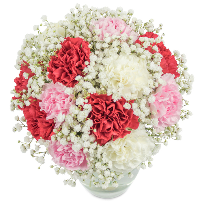 Abundant with classic beauty, this hand-crafted bouquet assembled in Mill Hill presents a harmonious medley of velvety carnations in deep red, gentle rose pink, and luminous white. Each carnation's ruffled layers are closely packed, forming an inviting, rounded dome interspersed with countless sprigs of airy, snow-white gypsophila. The baby's breath flutters lightly among the carnation blooms, providing a dreamy and weightless contrast to their plush density. Nestled in a crystal clear, rounded glass vase, the bouquet's vibrant green stems are visible beneath the surface of the water, emphasizing the freshness and living energy at its core. The soft, overhead lighting accentuates every curve and colour, making each detail pop against the immaculately white background. Whether gracing the centre of a celebratory table near Mill Hill Broadway or marking a meaningful milestone in a local home, this arrangement expresses adoration, joy, and appreciation with timeless grace, embodying the refined spirit and neighbourly warmth of Mill Hill's close-knit community.