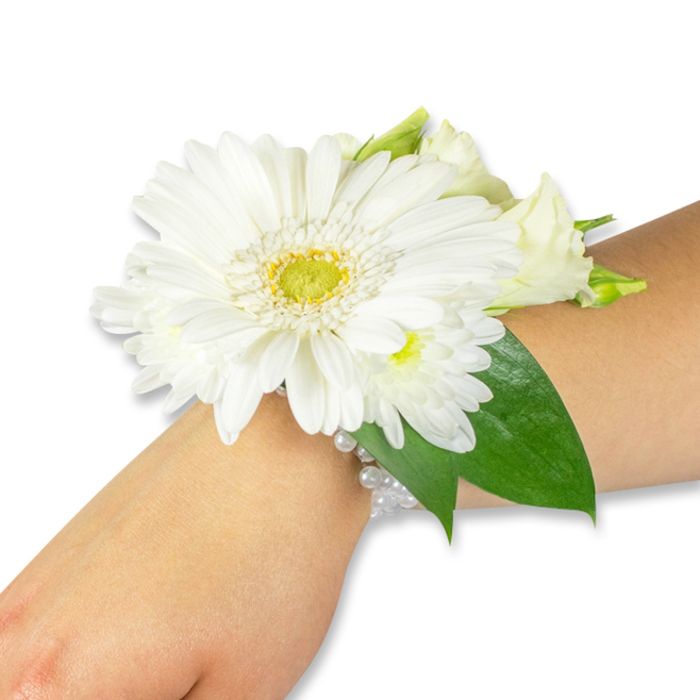 A refined white floral corsage is shown elegantly adorning the forearm of someone with a fair to medium complexion, photographed at a gentle angle against a spotless white backdrop that highlights every delicate detail. Dominating the composition is a large white Gerbera daisy, its numerous soft petals arranged in concentric layers around a lively lime-green and yellow centre with a slightly textured, pincushion appearance. Surrounding the central bloom are clusters of smaller pristine white flowers-invoking spray chrysanthemums or tender lisianthus-that introduce feathered textures and a soft, romantic silhouette. Behind and among the blooms, deep, glossy green foliage such as salal or Ruscus provides a lush foundation, the leaves' rich tones creating a pleasing contrast that frames the blossoms and extends subtly along the wrist. The floral cluster is fastened to the arm with a graceful, multi-strand pearl bracelet whose tiny beads gleam with a pearly glow, adding a whisper of antique glamour to the fresh, contemporary arrangement. In soft studio light the petals read as cool and satiny, the arrangement faintly scented with a green, fresh perfume that recalls cut stems gathered near Bittacy Hill or along Mill Hill Broadway. Intended for formal moments-weddings, proms, graduations-this corsage communicates purity and calm celebration, a wearable keepsake for a corridor of photographs or a procession through Mill Hill Village, where local florists hand-finish each piece with an eye for comfort and lasting beauty.