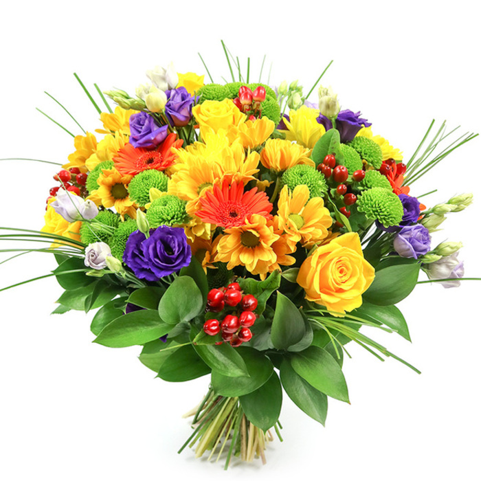 This vivid bouquet sits before a pure white background, allowing every colour and texture to take centre stage, much like a stand of mixed blooms catching sunlight in the gardens around Mill Hill. The arrangement is distinctly round and tightly bound, creating a dense, luxuriant dome of flowers and foliage that feels both carefully composed and naturally abundant. Dominating the palette are notes of yellow and orange: classic yellow roses with tightly furled, spiralling petals nestle among plush yellow chrysanthemums and smaller daisy-like florets, building a soft halo of sunshine. Bright orange gerbera daisies punctuate this glow with their striking, flat faces and darker centres, while tiny orange daisy blooms bridge the colours and add a touch of playfulness, as if scattered by a warm breeze over Bittacy Hill. Intertwined with these warm tones are deep purple lisianthus blooms, whose layered, slightly curled petals recall miniature roses; a few buds in lavender and near-white are just beginning to open, lending a sense of ongoing freshness. Lime-green button chrysanthemums form compact, spherical accents throughout, their crisp hue and tidy form introducing a lively contrast that enlivens the whole bouquet. Threaded delicately between petals and leaves are clusters of glossy, ruby-red hypericum berries, their smooth, beadlike surfaces catching subtle highlights and adding a festive, almost jewel-like dimension. All of this colour is held within a collar of rich, dark green foliage, broad leaves that support and frame the blooms, while slender, spiky blades of ornamental grass rise above, creating vertical movement and a feeling of lightness. The stems at the base are clearly visible, neatly gathered and tied, signalling a freshly prepared, hand-tied design ready for delivery across Mill Hill-ideal for birthdays, housewarmings, or simply brightening a dining table with a sense of joy and celebration.