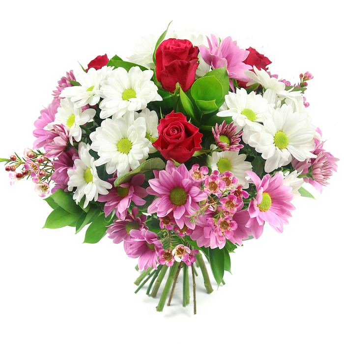 Set against a spotless white backdrop, this hand-crafted bouquet presents a carefully balanced, rounded form, as though freshly arranged in a Mill Hill flower studio just before heading out for local delivery. Several deep red roses emerge as the focal points, their petals tightly wrapped in elegant spirals that convey both luxury and emotional depth. Encircling these iconic blooms is an abundance of white daisy-like chrysanthemums, their petals bright and clean, radiating from vivid lime-green centres that add an energetic contrast to the softness of the whites. Woven seamlessly among them are pink chrysanthemums in shades from pale blush to a deeper rosy pink, every flower sharing the same green centres that give the arrangement a cohesive, contemporary character. Nestled delicately between the larger blooms, clusters of pale pink waxflower-type blossoms create an intricate lacework of tiny star-shaped flowers and visible stamens, adding airiness and fine detail, especially noticeable along the lower edges and sides. Supporting this tapestry of colour is a base of lush green foliage, including broad, dark green leaves and lighter, fresher tones that frame the flowers and provide depth. The stems at the bottom are gathered in a tidy, aligned bundle, showing that this is a professional hand-tied design, ready to slip into a vase in a home near Mill Hill East station or the open spaces around Arrandene or Mill Hill Park. The overall feel is joyful and refined, making it a fitting choice for expressing love, appreciation, or congratulations to friends and family throughout Mill Hill and the surrounding North London neighbourhoods.