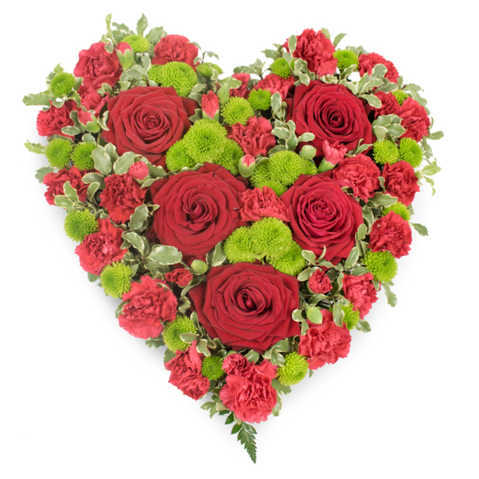A beautifully composed, heart-shaped floral tribute is shown against a crisp white background, every detail of the design standing out clearly, as if freshly arranged for a service in Mill Hill. The heart is completely filled with flowers, creating a rich, velvety surface with no gaps, giving it a sense of both softness and presence. Several large, velvety red roses are spaced carefully across the heart, their petals unfurling in graceful spirals that suggest tenderness and devotion. These roses act as visual anchors, drawing the eye from one to the next across the design. Nestled closely around them are numerous red carnations and mini carnations, their ruffled petals creating a soft, plush texture that reinforces the bold red colour and defines the heart's familiar outline. Bright lime-green button chrysanthemums are dotted throughout the arrangement, their compact, rounded shapes and fresh colour bringing a modern, lively contrast to the deeper reds. Around the edges, small sprays of variegated pittosporum foliage peek out from beneath the blooms, each leaf a blend of green centres and creamy white borders that lends a gentle, refined frame to the heart. At the lower point, a few delicate fern fronds extend, introducing a final touch of natural elegance and movement. The composition is both passionate and serene, making it an ideal choice for funerals, celebrations of life, or memorial gatherings in Mill Hill, from quiet chapels to services near Mill Hill East. The combination of intense crimson, refreshing lime green, and detailed textures captures the complexity of love, loss, and remembrance, offering a meaningful floral tribute that honours a cherished life.