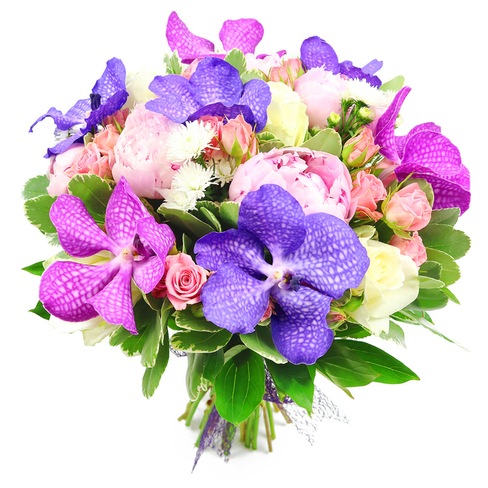 This image features an opulent floral bouquet, photographed against a pure white backdrop that makes each flower appear vivid and distinct, much like a showpiece in a Mill Hill boutique window on a bright day. At the core of the composition are voluptuous pink peonies, fully opened and overflowing with layers of gently curved petals that form rounded, ruffled blooms. Their romantic presence is heightened by the inclusion of Vanda orchids, whose large petals are saturated in deep purple and glowing fuchsia tones, patterned with intricate veining that creates the impression of fine lace or delicate brush strokes. Around and between these main flowers, smaller spray roses cluster in soft pink and warm peach hues, accompanied by creamy white roses that add balance and refinement. These roses appear in various stages of bloom, from tightly closed buds to partially open flowers, creating an engaging mix of textures and shapes. Delicate white filler flowers, possibly miniature chrysanthemums or asters, are interspersed throughout, their tiny, spiky petals catching the light and contributing a soft, airy texture. Generous green foliage frames the bouquet, with glossy leaves forming a verdant base and weaving among the blooms, offering cool contrast to the warm, romantic colours. The stems at the bottom are neatly bound together and secured with a purple ribbon and a hint of translucent mesh, giving the arrangement a polished, gift-ready finish. The bouquet exudes a sense of sophisticated celebration and heartfelt joy, the sort of design one might choose for a special anniversary dinner in a Mill Hill home overlooking Arrandene Open Space, a glamorous birthday gathering, or a thoughtful gesture delivered the same day to someone cherished in NW7.