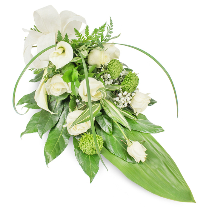 This refined, cascading sympathy bouquet is arranged against a simple white field to highlight its sculptural silhouette and delicate colour story of whites and greens. Several creamy white roses, captured at different stages from tight bud to open blossom, provide a soft, layered heart - their petals folding inward like gentle breaths. Two white Calla lilies introduce an architectural purity, their trumpet-like forms lending quiet dignity and a satin sheen under soft light. Scattered through the length of the spray are vivid lime-green button chrysanthemums; their compact, almost beaded texture offers a pleasing counterpoint to the roses' softness. Sprays of delicate white Gypsophila add a light, misty veil that tempers the stronger forms and evokes a peaceful, ethereal mood. The foliage has been composed with the same care: a base of deep, glossy leaves grounds the piece, variegated greens with pale stripes add refinement, and feathered fern fronds at the crown suggest a natural, woodland whisper. Two long, graceful blades of bright green foliage gently arc over the arrangement, creating a sense of upward movement before the design tapers to a smooth, broad green leaf that completes the elongated tail. A modest cream or off-white bow at the upper left provides a formal, comforting touch. Intended as a dignified memorial tribute, this spray would sit well alongside services held near The Ridgeway or small commemorations around Mill Hill Village, conveying respect, solace, and the quiet craftsmanship of a local florist.