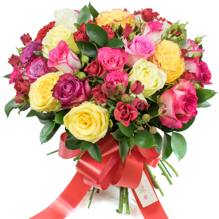 An opulent, tightly gathered rose bouquet displayed on a pure white backdrop, composed to showcase colour, texture and floristry technique. The full dome contains an artful mix of roses: cheerful bright yellow blossoms, pale creamy-white roses, and a wide spectrum of pinks ranging from delicate blush to vivid fuchsia and magenta. Sprays of deep burgundy and rich crimson cluster near the centre and edges, intensifying the composition and offering a pleasing chiaroscuro against the lighter petals. Larger, fully open hybrid tea roses alternate with smaller spray roses and unopened buds, producing a layered, tactile surface where silky, unfurling petals meet the taut curves of new growth. Dark, glossy greenery-probably ruscus or salal-threads through the bouquet, providing depth and a cool counterpoint to the warm colours. The stems are neatly gathered and finished with a broad red satin ribbon tied into an elegant bow with long tails; a small white gift tag, visible at the knot, is stamped with a logo and the message Happy Holidays, lending a thoughtful, seasonal flourish. Under soft, diffused lighting the petals seem to glow, and the imagined aroma is a fresh, slightly citrus sweetness that complements the bouquet's bright, celebratory mood. As a local touch, picture this arranged for delivery to a home near The Ridgeway or tucked into a hall table on Mill Hill East - a statement of affection and festive cheer crafted with seasoned care.