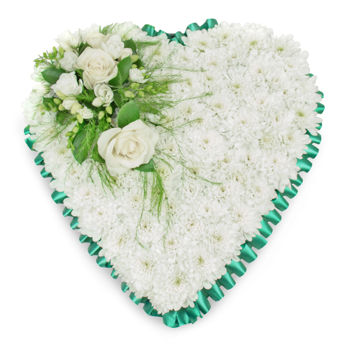 A beautifully arranged heart-shaped funeral tribute is displayed against a plain white background, highlighting its delicate textures and the quiet care with which it has been crafted, much as you might notice when it is delivered to a service near Mill Hill East or around the Broadway. The heart is completely filled with numerous small white chrysanthemums, each bloom nestled tightly against the next to create a dense, pillowy carpet of petals. The petals overlap and curve gently, forming a soft, almost quilt-like surface that speaks of purity, peace, and gentle remembrance. There are no gaps in this white foundation; instead, the chrysanthemums merge into one continuous, comforting layer that supports the rest of the design. Around the very edge of the heart, an emerald green satin ribbon is pleated into regular, scalloped folds. Its smooth, reflective surface catches the light in subtle highlights, lending the arrangement a polished, ceremonial finish and clearly defining the heart's outline. The contrasting green and white bring a quiet elegance reminiscent of the calm gardens and green spaces around Mill Hill. Set into the upper left curve of the heart is a carefully balanced focal cluster of flowers. At its centre are two fully opened white roses, their layered petals unfurling in soft spirals, each one suggesting enduring love, devotion, and a deeply felt goodbye. Around the roses, smaller white blossoms such as freesias and a few buds add texture, while a variety of green foliage frames and supports the cluster. Broad, glossy leaves anchor the design, and finer, feathery fronds drape gently over the chrysanthemum base, softening the edge between the cluster and the white foundation. This floral heart feels calm and contemplative, an ideal tribute for a funeral, cremation, or memorial service in Mill Hill, offering comfort and a serene visual expression of sympathy.