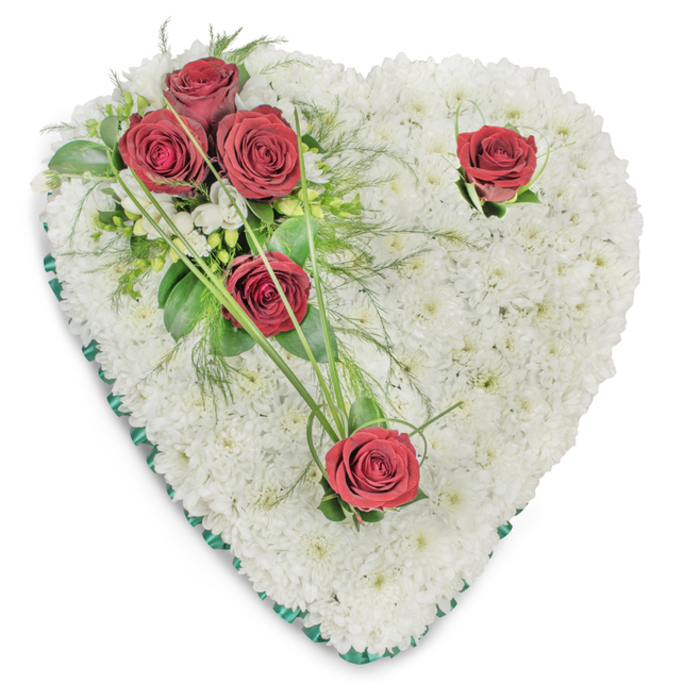 An expertly composed heart-shaped memorial piece, its entire surface densely cloaked in small, immaculate white chrysanthemums that create a lush, tactile cushion of petals. The chrysanthemums are set so closely that the heart reads as a continuous, serene plane of white, catching gentle overhead illumination which highlights each rounded bloom and the subtle shadows between them. From the upper left a concentrated spray of three deep red roses provides a deliberate, emotional counterpoint; their fully opened petals are velvety and rich, nestled among glossy broad leaves, feathery fern fronds and a few slender freesia-like white accents. Two additional crimson roses are placed thoughtfully-one near the upper right curve and another at the lower point of the heart-each accompanied by minimal green accents and graceful, arching blades of bright green bear grass that add a sense of movement and embrace. The entire perimeter is finished with a thin, dark emerald satin ribbon that defines the heart's outline and lends a restrained, elegant sheen. The arrangement is finished with delicate greenery that hints of cedar and ruscus, grounding the composition and intensifying the visual contrast between white and red. Bathed in soft, natural light, this sympathy wreath projects peace and reverence, an apt floral statement for funerals, memorials or home tributes delivered to addresses across Mill Hill, from The Ridgeway to Bittacy Hill, where families often seek a classic expression of love and remembrance.
