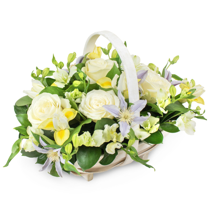 The photograph shows an elegant sympathy flower basket resting against a bright white backdrop, its pale colours and soft textures designed to convey quiet respect and comfort. The basket itself is rectangular or gently oval, woven in natural wicker and painted a light beige-white that feels at home in a refined Mill Hill setting. A matching handle arches smoothly over the arrangement, framing the display without blocking any of the blooms. Inside, the flowers are arranged in a generous, rounded dome, full but never crowded, as though thoughtfully placed one stem at a time. At the very centre are large, creamy white roses, fully open, their velvety petals curling outwards in layered spirals that draw the eye and evoke feelings of gentleness and peace. These roses are interlaced with star-shaped clematis blossoms in soft lavender and pale periwinkle, each with a bright yellow-green centre that gives a quiet spark of life to the composition. Scattered throughout, small clusters of freesia-like flowers in white and light lemon-yellow add fine detail; some are open, their slender petals forming tiny trumpets, while others remain in bud, ready to bloom. Soft white filler flowers with ruffled edges, perhaps lisianthus, further enrich the texture without breaking the calm harmony of the colour scheme. All of the blossoms are cradled by lush greenery: broad, dark green leaves provide a strong base, while lighter, more delicate sprigs weave between the stems, offering gentle movement and a fresh, garden-like feel. The overall effect is that of a tender farewell, a floral tribute suitable for a funeral, wake, or condolence delivery to Mill Hill families, from quiet homes near Mill Hill East station to services held around Holders Hill Road, bringing a touch of natural light in a time of sorrow.