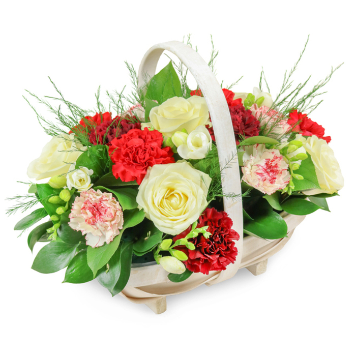 A graceful funeral flower basket, rich in detail yet restrained in mood, is shown against a clean, white backdrop, allowing every bloom and leaf to be clearly seen. The basket itself is a light, natural wood, formed into a shallow, oval shape with delicate slats and four discreet feet that raise it slightly from the surface. A smoothly curved handle arches in a soft, even line from one side to the other, its pale colour echoing the gentle tone of the wood and giving the whole piece an understated elegance. The flowers inside are arranged into a generous, domed mound that just spills over the rim, evoking fullness and care. Several creamy white roses are fully unfurled, their layered petals soft and velvety, embodying purity, remembrance, and quiet grace. Framing them are clusters of deep red carnations, their finely frilled petals densely packed, adding both depth of colour and plush texture, like small cushions of affection and respect. Interwoven with these are tender pink carnations and bi-coloured blooms that blend white with touches of red or pink along the petal edges, introducing a softer, more personal feeling. Among the larger flowers, small white blossoms, similar to freesias, appear on slender, green stems; their bell-shaped florets and developing buds bring a note of lightness and subtle movement. A lush collar of dark green foliage holds everything together, with broad, glossy leaves providing structure, while delicate, feathery fronds rise here and there to soften the outline. This carefully crafted tribute feels entirely suited to a Mill Hill farewell, whether placed in a chapel, set near a casket at a local crematorium, or delivered as a sympathy gift to a family home near Mill Hill East or along the quieter avenues between green spaces. Designed by Flowers Mill Hill, it offers a heartfelt, local expression of condolence and remembrance.