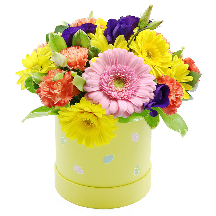 A vibrant Easter hatbox floral arrangement is shown against a pure white backdrop, every hue and texture clearly defined, as though the bouquet has been lit by soft natural daylight. The composition is low and rounded, creating a full dome of flowers that appears both abundant and carefully controlled. At the centre front, a single light pink Gerbera daisy serves as the star of the design, its numerous slender petals arranged neatly around a muted green centre, giving a calm, open look, like a welcoming smile greeting visitors at a Mill Hill doorstep. Clustered around it are lively yellow chrysanthemums, their finely cut petals radiating in all directions, bringing the impression of scattered sunshine. Interspersed between these bright notes are sumptuous coral-orange carnations, their petals ruffled and layered to create a sense of movement and plush volume. Deeper tones are provided by violet-purple lisianthus, whose softly folded petals and elegant buds introduce a rich contrast that keeps the arrangement visually balanced and sophisticated. All of these blooms are supported by fresh green foliage, some leaves solid and glossy, others touched with pale, creamy variegation along the edges, which adds delicate detail and depth. The flowers rise from a cylindrical pastel lime-yellow hatbox, smooth and modern, adorned with small, scattered pastel Easter eggs in gentle blue, soft pink, and white, some with tiny dots or stripes that evoke hand-decorated treats at a family gathering in a Mill Hill garden. The overall mood of the arrangement is festive, bright, and uplifting, ideal for Easter lunches, spring birthdays, or simply as a cheerful gift delivered across Mill Hill, from quiet residential streets to the busier shops and cafes along Mill Hill Broadway.