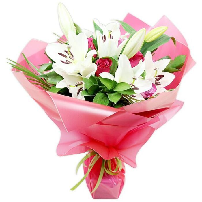 A lush bouquet of white Oriental lilies and deep red roses is shown in front of a pure white background, the minimal setting emphasizing the rich colours and thoughtful structure of the flowers. Large lilies dominate the upper part of the arrangement, their trumpet-shaped blossoms wide open with pristine white petals that flare out elegantly, framing a centre of dark reddish-brown anthers and a single pistil that reaches confidently forward. Scattered among these open flowers are several lily buds, tall and slender with soft green casings and hints of cream where the petals are just beginning to press outward, promising additional blooms after delivery across Mill Hill. Between the lilies, deep red roses are arranged as tight buds and partly opened blooms, their velvety petals spiralling inward and adding a romantic, almost dramatic contrast to the cool whites. The flowers are cradled by lush, dark green foliage, with broad, glossy leaves offering structure and a natural shine, while finer, grass-like blades add subtle height and texture, reminiscent of the planting seen in gardens near Mill Hill Park or around the quieter residential streets. The stems are neatly gathered and encased in bright pink, semi-transparent cellophane or floral paper that billows and folds outward, catching highlights that give the wrapping a luminous, celebratory quality. At the base, a slim lime green ribbon is tied tightly, its smooth satin finish and zesty hue providing a refined yet playful accent that ties in with the fresh leaves above. The bouquet radiates joy and tenderness, ideal for anniversaries, thoughtful thank-you gifts, or sending love and support to friends and family throughout Mill Hill.
