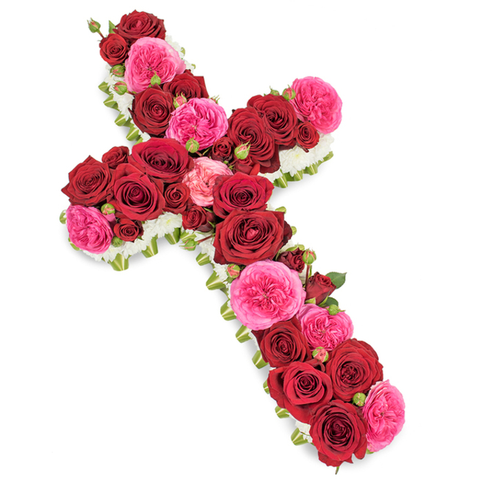 A solemn yet beautifully vibrant floral cross lies against a completely white background, its sacred outline fully defined by an abundance of fresh roses and subtle greenery. The body of the cross is built from tightly packed, fully open red roses whose velvety petals form generous spirals of deep crimson colour. These roses, placed side by side along the full length and width of the cross, create an unbroken panel of rich ruby tones that feel deeply respectful and reverent. Woven between them are fuchsia pink garden roses and similarly multi-petalled blossoms, each bloom a shade lighter and slightly more ruffled, adding movement and a gentle brightness that softens the solemnity without diminishing it. Interspersed among the larger heads are smaller rosebuds in corresponding reds and pinks, some just beginning to unfurl, adding depth, texture, and a quiet sense of continuity. A precise edging of minute white flowers - perhaps spray chrysanthemums or delicate carnations - wraps all the way around the cross, forming a fine, luminous border that accentuates the silhouette and suggests purity and peace. Slim hints of green foliage or fine greenery can be glimpsed beneath the blooms, giving a natural underpinning and subtle structure. The lighting is calm and even, allowing the true colours to shine and the contours of each petal to be clearly visible, producing a reflective, almost chapel-like atmosphere. This is the kind of floral tribute a Mill Hill family might request for a funeral or graveside service near local churches or along Mill Hill Broadway, a dignified expression of sympathy that honours both faith and the cherished memory of a loved one.