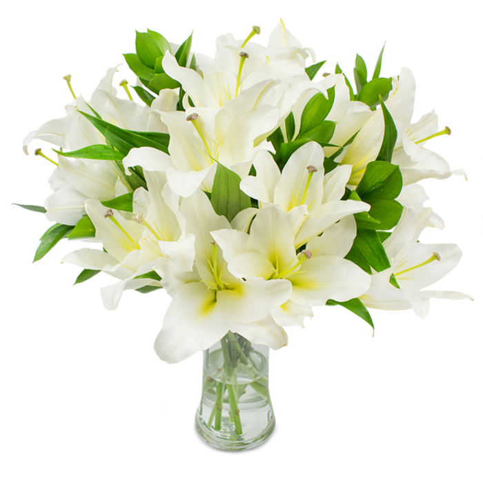 A striking, abundant arrangement of white lilies dominates the frame, clustered in a transparent glass vase and set before a pristine white backdrop that keeps every detail crisp. Each bloom is composed of several smooth, overlapping petals in a pure, gleaming white that gently curve outward; a faint cream and pale green wash at the centre gives a soft internal glow to the flowers. From the hearts of many blossoms extend fine pale-green filaments topped with muted brown anthers, adding sculptural punctuation and a hint of organic texture against the otherwise immaculate surfaces. Rich, glossy green leaves-long, pointed, and evenly distributed-surround and lift the flowers, amplifying the bouquet's fullness and creating a classical silhouette. The vase's clear water reflects light subtly, and the neatly trimmed stems are visible descending to the base, a detail that emphasizes the lilies' freshness and the careful work of conditioning. The overall mood is serene and respectful, evoking peace and purity; the composition would suit a memorial tribute, a sympathetic delivery to a family in Mill Hill Village, or a serene centrepiece for a refined gathering near Mill Hill Broadway. Light feels cool and natural, like an overcast morning on The Ridgeway, and one can almost imagine the lilies' gentle, sweet fragrance filling the room. This portrayal balances botanical clarity with emotional softness-an eloquent floral expression of remembrance, calm, and understated beauty.