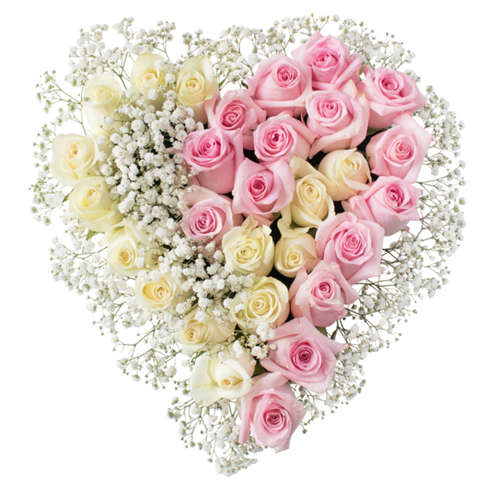 Large, full heart-shaped arrangement of roses and baby's breath, designed as a loving funeral tribute and photographed on a plain white background for clarity. The heart is so densely filled that there are no gaps, only layers of bloom creating a soft, cushion-like surface. Its most striking feature is the clear vertical divide running down the centre, separating two distinct colour stories while keeping them equal in size and importance. To the left, creamy white and buttery pale roses sit tightly together, their petals velvety and gently ruffled at the edges, echoing themes of purity, remembrance, and peace. To the right, equally abundant medium pink roses mirror the shape and fullness of the lighter side, their warmer hue introducing a sense of affection and gratitude, like cherished moments recalled. Fine stems of white baby's breath weave in and out between the roses, most noticeable along the dividing line and tracing the outer curve of the heart, forming a delicate halo. The gypsophila's tiny round blossoms add a soft, airy texture that lightens the solidity of the roses and blurs the strictness of the central line without losing its clarity. The whole composition feels serene and composed, suitable for display on a coffin, beside a photograph, or on a stand at a service in Mill Hill, Totteridge, or Finchley. The lack of greenery or bold adornments keeps the tribute understated yet deeply expressive, perfect for families looking for a floral heart that says, You are loved, and always will be, in a restrained, elegant language of flowers delivered by a skilled local florist.