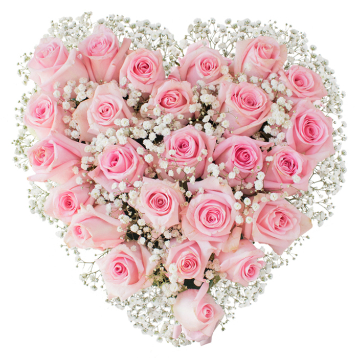 Seen head-on against a crisp white background, this lovingly crafted heart of flowers is built from tightly packed soft pink roses punctuated by abundant clusters of white baby's breath, creating a luxurious, tactile surface that invites close attention. The roses present a delicate range of pastel tones - from almost-ivory flushes of blush to slightly deeper pink cores - and their stages of bloom vary with intention: smaller, round buds soften the outer curves while fuller, partially opened blooms give the heart depth and a plush, three-dimensional quality. Interspersed among them, Gypsophila provides a light, feathery counterpoint; its tiny, snow-like blossoms and branching stems weave through the roses and lift the silhouette, making the heart appear to breathe. The arrangement is lit with clear, even illumination that enhances the petals' velvety texture and exposes the fine veins and faint gradients of colour on each bloom, while the white backdrop isolates the composition for maximum visual clarity. There is an implied scent - a gentle, classic rose perfume with a cool green lift - and a calm, tender mood that suits occasions ranging from romantic declarations to refined wedding décor or a memorial display. As a practical note for Mill Hill residents, this kind of design works beautifully as a focal piece on a reception table at a local venue or as a bedside surprise delivered to a quiet home near Mill Hill Village; its voice is one of sincere, understated love, crafted with the steady hand of a florist who values balance, freshness, and heartfelt expression in every stem.