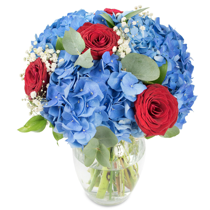 An expertly composed floral arrangement fills a simple clear glass vase whose slightly rounded silhouette tapers gently to the mouth, the green stems submerged in clean water visible beneath the blooms. The composition is dominated by expansive bunches of sky-blue hydrangeas; each cluster is composed of many delicate petals layered together to create a soft, billowy texture that reads like a cool summer sky. Interwoven with the hydrangeas are three or four deep red roses, their velvety petals held in tight spirals that provide a classic, dramatic counterpoint to the hydrangea's softness. Sprigs of white baby's breath flutter between the larger flowers, offering a light, airy veil that softens transitions and adds an ethereal sparkle. Muted, oval eucalyptus leaves - their matte, sage-green surface and rounded shapes - are artfully distributed to add depth, contrast and a faint herbal aroma. The bouquet is brightly lit against a plain white backdrop, making the saturated blue and crimson hues sing while communicating freshness and careful floristry. Imagined on a dining table in Mill Hill Village or as a thoughtful delivery to a home near Miles' Pond, this arrangement reads as celebratory yet composed: ideal for anniversaries, birthdays, or occasions where you want to convey love, appreciation, or even a quiet patriotic note. The overall effect is one of balanced richness - full, tactile, and gently uplifting.