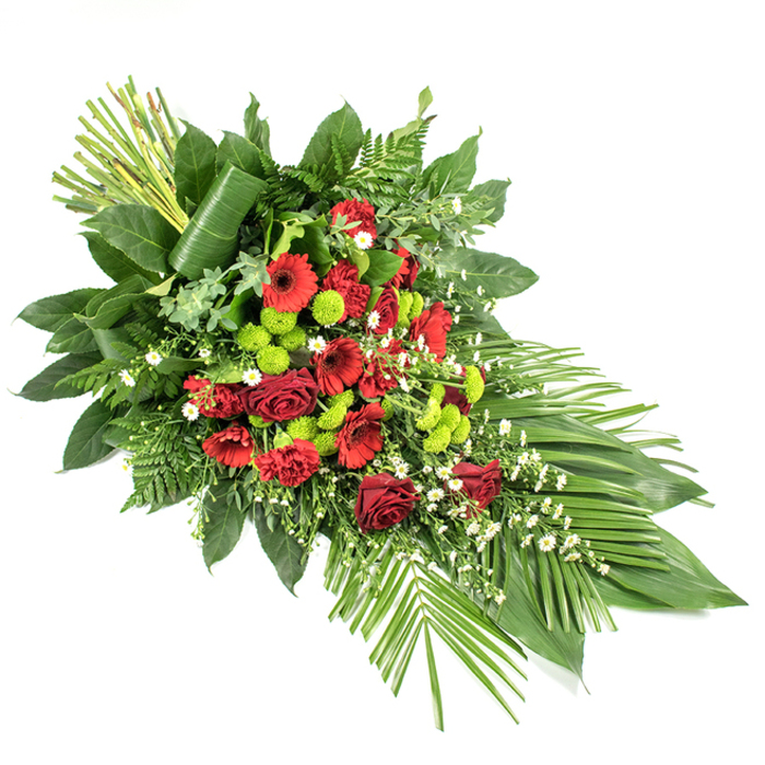 Against a clear, white background, an elongated funeral or sympathy spray appears carefully composed, as if awaiting delivery from Flowers Mill Hill to a nearby service at a local church or crematorium. The arrangement is shaped in a classic, elongated teardrop, lush and full at one end before tapering elegantly to a slender point at the other, giving a sense of gentle forward movement. At the centre lies a rich array of deep red blooms: velvety roses, some fully unfurled, others still cupped, share space with striking red gerbera daisies with dark, velvety centres and clusters of ruffled carnations. These flowers together create a tapestry of crimson shades that speaks of honour, love, and remembrance. Interwoven throughout are clusters of lime-green button chrysanthemums, their rounded, tightly petalled heads glowing with a vivid, almost neon freshness that contrasts beautifully against the darker reds. Tiny sprays of white filler flowers, perhaps small daisies or gypsophila, bring lightness and a touch of airy delicacy, easing the transitions between colours. The blossoms are supported by a rich bed of foliage: broad, glossy leaves like salal provide a solid, dark green base, while lacy leatherleaf ferns and other greenery extend outward to soften the edges and add texture. At the lower right, several long, slender leaves are splayed outward in a gentle fan, echoing the spray's elongated line. At the upper left, a neat bundle of upright stems or leaves rises from the arrangement, with one broad leaf wrapped around their base to form a polished, contemporary detail. The overall impression is one of quiet dignity and carefully crafted beauty, the kind of tribute that feels entirely at home in the calm surroundings of Mill Hill's tree-lined streets and nearby parks.