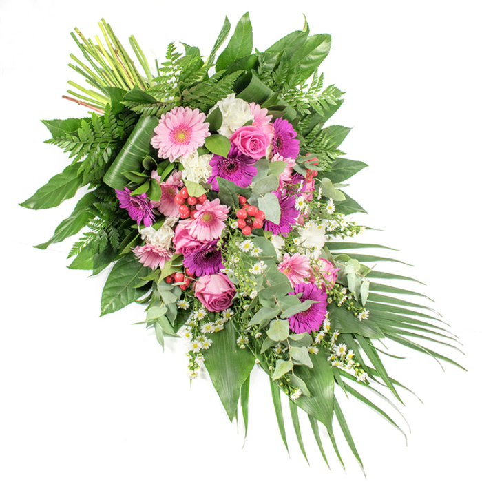 Displayed against a stark white background, this striking funeral spray forms a pronounced diagonal line from the upper left corner down to the lower right, giving the impression of a gentle, sweeping motion. At the upper left, a neat bundle of exposed stems reveals the starting point of the design and speaks to the careful hand-tied craftsmanship behind it. From this anchor, the flowers spill downward and outward in generous layers of pinks, whites, and lush greens. Several large gerbera daisies, in shades ranging from soft pastel pink to deep fuchsia and magenta, punctuate the spray, their open, round faces offering a quietly joyful note amid the solemn setting. Close by, refined pink roses emerge at different stages of opening, some more bud-like and others partially unfurled, their velvety petals adding richness and emotional depth. Filling the spaces are clusters of small, fluffy white blossoms-likely carnations or miniature chrysanthemums-that create a cushion-like texture and illuminate the arrangement. Tiny white daisy-type flowers wind delicately throughout, reminiscent of wildflowers a florist in Mill Hill might notice along local paths or green verges, adding lightness and movement. Interspersed among the petals, bright red hypericum berries appear in compact clusters, lending a jewel-like accent and interesting visual rhythm. The floral elements are supported by an abundant mix of greenery: broad, glossy dark green leaves form the strong framework; feathery green ferns introduce a softer, airy quality; and rounded eucalyptus leaves in a silvery-green tone provide contrast and a suggestion of calming fragrance. At the lower right, long, slender palm fronds extend outward, echoing the diagonal line and enhancing the sense of flow. The overall mood is serene and contemplative, making this an ideal sympathy tribute for funerals or celebrations of life held in and around Mill Hill.