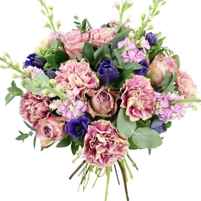 Against a crisp white background, this image showcases a thoughtfully composed hand-tied bouquet that blends soft romance with rich, jewel-like accents. Dominating the centre are large, garden-style roses, their petals tightly layered and gradually unfurling in shades of blush, dusty rose, and muted mauve, giving the design a deeply romantic core. Nestled among them, generously ruffled carnations bring volume and movement; each bloom transitions from a creamy or pale pink centre to more intense blush, fuchsia, or plum at the delicately frayed edges. Between the pastels, deep indigo-blue blooms, reminiscent of small tulip buds, introduce depth and drama, while a striking royal blue anemone with a dark, almost black centre claims attention near the lower front of the bouquet. Threaded upward through the mass of petals are slender stems of pale lavender and lilac stock flowers, their clusters of tiny blossoms creating soft vertical lines and a light, airy feeling that adds balance to the fuller blooms. Around the edges, fresh foliage in contrasting greens completes the arrangement: glossy, darker rose leaves provide structure, while rounded, silvery eucalyptus leaves catch the light and hint at a cool, soothing scent. The stems are gathered in a visible spiral at the base, revealing that this is a true hand-tied bouquet prepared with care by a professional florist, such as those at Flowers Mill Hill. Its harmonious palette of pinks, purples, blues, and greens suits many occasions, from anniversaries and birthdays in homes off Mill Hill Broadway to thank-you gestures and sympathy tributes delivered across the quiet residential streets of Mill Hill.
