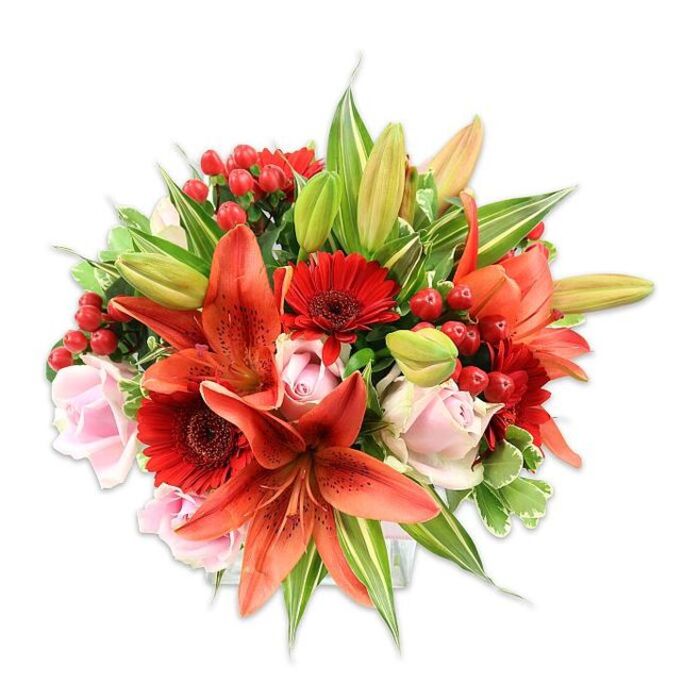 A luxuriously full bouquet set against pristine white, composed to accentuate warm autumnal hues and soft romantic notes. Dominating the design are several large orange-red Asiatic lilies, their broad petals curving back to reveal subtle speckling and strong stamens that lend architectural interest and a sensual, spicy fragrance. Nestled between those lilies, deep crimson Gerbera daisies bring a cheerful, almost graphic intensity with their radiating petals and dark central disks. Interwoven among the brighter blooms are pale blush-pink roses that hover between tight buds and open cups, their layered petals introducing an intimate, velvety softness. Small groups of scarlet hypericum berries are tucked into the arrangement, their glossy spheres creating bright stops of colour and a contrasting, tactile pop. The greenery is abundant and varied - smooth, wide leaves form a calm, green foundation while variegated foliage with cream-edged veins adds light and movement; a few unopened lily buds lift the silhouette and promise continued bloom. The overall effect is warm, passionate, and refined, a bouquet that feels equally at home on a dining table in Mill Hill Village or as a thoughtful delivery after an afternoon call at the local surgery. As a Mill Hill florist's composition, it reads as careful and celebratory: suitable for anniversaries, milestone birthdays, or to send heartfelt congratulations, offering both visual drama and approachable tenderness through its colour, scent, and skilled layering of textures.