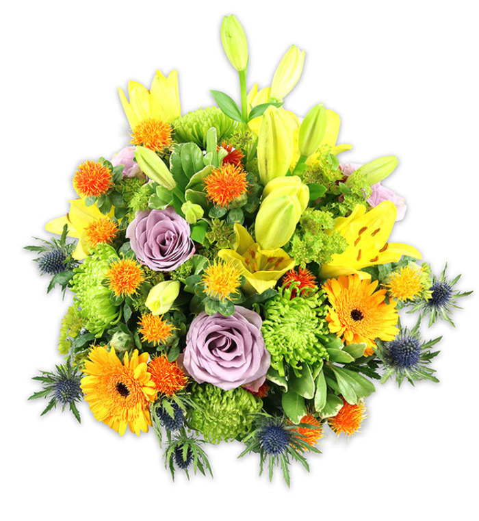 Set against a crisp white background, this richly textured bouquet reads like a sunlit walk through a late-spring garden, densely composed yet airy in its vertical accents. Several golden yellow Asiatic lilies take centre stage, some opened wide with speckled inner petals and exposed stamens, others remaining sleek, upward-reaching buds that add graceful height and an anticipatory quality. Two or three soft lavender-purple roses are woven into the midsection, their velvety petals spiralling inward to form calm focal points that temper the sunnier hues. Large orange Gerbera daisies ripple across the surface with flat, radiating petals and darker centres, creating points of joyful emphasis. Bright lime green cushion chrysanthemums fill the spaces with ruffled, cushiony texture, producing a lush, almost moss-like volume that anchors the arrangement. Scattered spherical bursts in vivid orange and warm yellow - small, spiky globe-like flowers - introduce lively, tactile contrast. A handful of indigo to blue-grey sea thistles (Eryngium) emerge from the sides and lower periphery, their spiky bracts and metallic sheen offering striking sculptural detail against the soft blooms. A mix of broad lily leaves and smaller glossy fillers weaves through the composition, lending depth, movement, and a fresh green chorus. Bathed in soft, neutral studio light, the bouquet conveys warmth, optimism, and tenderness - suitable as a congratulatory gift, anniversary surprise, or sympathetic arrangement. As a local florist familiar with Mill Hill's homes and community spaces near The Ridgeway and Mill Hill Broadway, I imagine this piece brightening a sunny mantelpiece or arriving as a heartfelt bouquet to lift a neighbour's day.