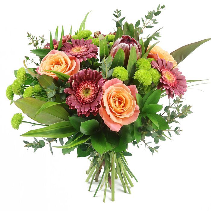 Set against a clean, bright white background, this generous hand-tied bouquet is shown in full detail, every flower and leaf clearly defined, much like a display piece in a Mill Hill high street florist. At its core, several large roses open in layered spirals, their petals moving from soft peach and coral tones to deeper salmon and apricot shades near the centre, with some blooms showing delicate, lighter outer edges that emphasise the richness within. Interwoven with these roses are eye-catching gerbera daisies in intense fuchsia, burgundy, and deep magenta, each one boasting a wide circle of fine, radiating petals around textured central disks that range from darker, velvety tones to lighter pink rings, adding depth and contrast. Rising towards the upper area of the bouquet is a commanding King Protea bloom, its distinctive, almost architectural form marked by robust maroon and reddish-brown bracts that gently fade to muted blush at the pointed tips, lending the arrangement an exotic flair that feels bold yet harmonious. Throughout the bouquet, clusters of lime-green Santini chrysanthemums create small, spherical bursts of colour, their compact pom-pom shape filling any gaps and giving the whole piece a playful, contemporary edge. A rich selection of foliage anchors the composition: glossy, broad green leaves give weight at the base, long, slender blades introduce height and direction, and rounded eucalyptus leaves in silvery-green tones soften the outlines, suggesting movement and airiness. The stems are carefully gathered and tied, clearly visible against the background, signalling a freshly prepared, hand-tied bouquet ready for local delivery around Mill Hill. Radiating warmth, joy, and a sense of modern elegance, this floral design would suit occasions from housewarmings on leafy residential streets to celebrations shared with loved ones nearby.