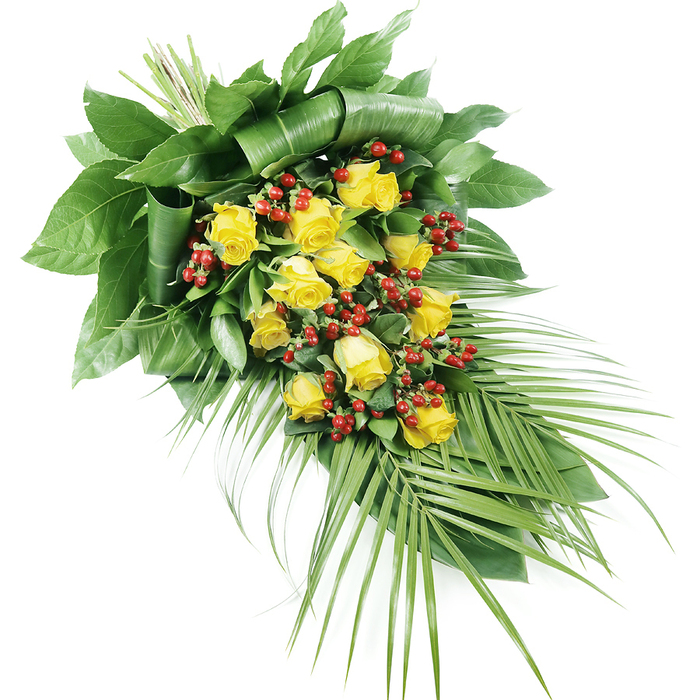 A sophisticated funeral spray composed of yellow roses, red berries, and abundant greenery is photographed on a crisp white backdrop, its shape gently slanting from the upper left to the lower right in a classic elongated form. At the heart of the arrangement, approximately fifteen to twenty yellow roses are arranged in a soft, meandering cluster. Some roses are still partially closed, their outer petals hugging the bud, while others are open and full, displaying layers of golden-yellow petals that curl slightly at the edges. The colour is vibrant yet soothing, a comforting presence that echoes the calm atmosphere of Mill Hill's tree-lined avenues and open views. Threaded among these roses are sprays of bright red Hypericum berries. Each berry is small, rounded, and slightly glossy, grouped in neat clusters that punctuate the yellow with bursts of deep, reassuring red. These berries not only add visual contrast but also bring a tactile richness, suggesting the careful touch of a florist used to shaping heartfelt tributes for local funerals and memorials. The floral elements are supported by a framework of green foliage. At the top left, large, dark green leaves have been folded, wrapped, and overlapped to form a firm, sculpted base that anchors the entire design. From this base, the greenery transitions into longer, more delicate stems: slender palm-like fronds extend towards the lower right, their fine leaflets creating a feathery, trailing edge that softens the overall silhouette. The stems are bound tightly and hidden within the foliage, indicating precise craftsmanship and attention to finishing details. Set against the white background, the spray appears serene and dignified, a fitting floral tribute to accompany a coffin, rest on a memorial stand, or be placed at a graveside for a farewell in Mill Hill.