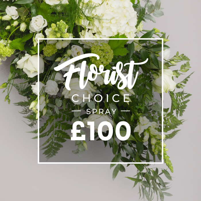 Elegantly curated for discerning eyes, this Florist Choice Spray presents white blooms in cool, unassuming perfection, set against a soft light-grey backdrop. The hydrangeas form a voluminous crown at the top and center, while white roses mingle through the arrangement in varying stages of bloom, accompanied by smaller lisianthus-like white blossoms and subtle green buds. The foliage-feathery ferns at the bottom and right, soft grey-green eucalyptus, and dark, glossy leaves-gives depth and movement, creating a natural, timeless charm. In the middle, a pristine white border overlays the bouquet, housing the words Florist Choice in a flowing script, followed beneath by SPRAY in bold uppercase, and at the bottom the price £100 in strong numerals. The panel's faint translucence allows the greens to show through, keeping the composition airy and refined. This product photo from Flowers Mill Hill underscores a premium, ready-to-order spray suitable for memorials, formal gifts, or elegant homes, with delivery across Mill Hill and surrounding districts. The image's clarity and poise evoke the care of a neighbourhood florist, inviting customers to choose quality without compromise.