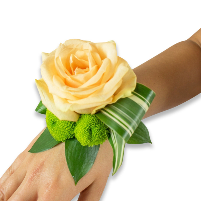 A refined floral wristlet is shown resting along the inner forearm and hand of a person with warm, light to medium brown skin, photographed against a bright white backdrop. At its heart blooms a large, perfectly opened rose in a soft peach-champagne hue, layers of silky petals spiraling inward to create a warm, romantic focal point. Beneath the rose, two vivid lime-green button chrysanthemums - compact, almost spherical pom-poms - introduce an energetic textural contrast, their tiny florets catching the light and offering a playful counterbalance to the rose's smoothness. Surrounding these blooms, broad dark-green leaves, likely salal or ruscus, form a lush base that adds structure and depth, while a distinctive variegated leaf, striped with creamy white, is folded and curled in an architectural flourish that wraps subtly around the wrist. The arrangement reads as both classic and contemporary: the soft peach tones evoke tenderness and timeless elegance, while the crisp green accents and sculpted foliage lend a modern edge. The piece feels freshly made and wearable, intended to endure a day of close conversation and celebration - whether at a family wedding near Mill Hill Broadway or an evening reception in Mill Hill Village. Crafted by hands familiar with the neighbourhood's tastes, it balances comfort and ceremony, fragrant with a faint whisper of rose and the green scent of cut leaves. Flowers Mill Hill often prepares corsages like this for local events and can adapt the scale or fastening for a comfortable, secure fit, making it a thoughtful floral touch for prom, wedding, or special anniversaries.