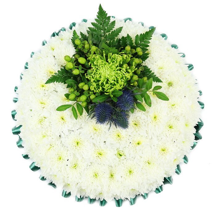 This top-down photograph reveals a meticulously crafted circular funeral cushion, resting on a plain white background so that its structure and colour palette are clearly revealed. The base is entirely made up of tightly packed white chrysanthemums, most likely small-headed spray varieties, placed so close together that they form an unbroken carpet of soft, velvety petals. Each flower's tiny, pale green eye adds gentle warmth to the cool whiteness, offering a sense of purity and quiet reassurance that mirrors the serene feel of the leafy streets around Mill Hill and Lawrence Street. Framing this cloud-like mass of blooms is a deep emerald green satin ribbon, expertly pleated into regular scallops that catch the light and lend a tailored, polished finish to the design. Positioned near the top centre of the cushion is a striking and carefully composed focal spray. A lime-green spider chrysanthemum, with its long, curling petals splayed in every direction, serves as the vivid heart of this cluster. Around it, glossy apple-green Hypericum berries nestle among an abundance of dark green foliage and airy fern fronds, adding movement and natural texture. Emerging confidently from this greenery are two rounded Scottish thistles in tones of soft indigo and violet, their spiky forms standing in strong contrast to the smooth chrysanthemum base. The overall impression is one of restraint and elegance, with a thoughtful nod to Scottish heritage or cherished memories. Created with the kind of careful attention to detail you would expect from a local specialist, this design would offer a dignified tribute at a Mill Hill funeral service or crematorium, expressing sympathy and remembrance through its harmonious blend of white, green, and blue.