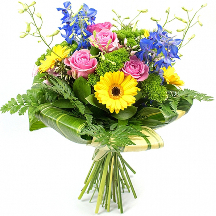 A vibrant mixed bouquet stands out sharply against a bright white background, every detail visible as if under gentle studio lighting in a Mill Hill flower shop. The arrangement is dominated by a harmonious trio of colours. At the centre, soft pink roses bloom fully, their layered petals curling outward in generous spirals that evoke romance, kindness, and a touch of nostalgia. Nestled among them, yellow gerbera daisies beam with a sunny energy, their smooth, evenly spaced petals framing dark brown or near-black centres, providing a strong visual anchor. Towering above this cheerful heart of colour, tall stems of intense blue delphinium rise in slender columns, each one dotted with many small florets that lend elegance, height, and a cool counterpoint to the warmer hues below. Around these focal flowers, an abundance of greenery fills the composition. Feathery fern fronds trail from the edges in light, soft shapes, giving the bouquet a natural, garden-inspired feeling reminiscent of leafy walks near Arrandene Open Space. Between the flowers, clusters of vivid green, cushion-like filler foliage create texture and volume, preventing any gaps and making the bouquet appear lush and full. Large, glossy tropical-style leaves-with subtle lighter stripes on some surfaces-are wrapped in neat, curved bands around the lower part of the flowers, forming a structured collar that frames the blossoms and gives the design a polished, professional finish. From the upper portion, slender light green stems with tiny unopened buds stretch upward, lending delicacy and a sense of new growth. At the bottom, the stems are straight, evenly trimmed, and gathered into a tight bundle, wrapped in a soft cream or pale green material and tied with a simple bow. This composition feels joyful and contemporary, suitable as a birthday surprise, a congratulations bouquet, or an uplifting same-day flower delivery across Mill Hill and nearby North London suburbs.