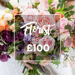 A lush, garden-style bouquet fills the frame in a soft, diffused light that highlights texture and scent. Dominant pink garden roses, full and velvety with ruffled edges, form the focal heart of the arrangement; around them sit coral and peach ranunculus with their layered, paper-thin petals and small creamy white accent flowers that lift the palette. Rich, plum-coloured hellebores or similar dense florets provide dramatic shadowed notes, while delicate, striped pale purple-and-white sweet peas weave through the massed blooms, adding gentle movement and a whisper of fragrance. Abundant foliage - slender vines cascading at the edges and broader, rounded leaves beneath - gives the bouquet an organic, slightly wild silhouette and reinforces its hand-tied construction. A pair of hands gently supports the trimmed stems at the base, seen against softly blurred pale clothing, adding a human scale and reassurance of careful handling. Laid over the composition is a clear white rectangle showing 'Florist Choice' in flowing script, a small uppercase CHOICE beneath, and a large ?100 in bold sans-serif at the lower edge, all contained within a fine white square frame that emphasizes the product and price without stealing the flowers' presence. The overall feeling is one of considered luxury and seasonal abundance - a florist-selected gift perfect for birthdays, intimate celebrations, or to say 'I cherish you' - suitable for same-day delivery to Mill Hill Village, Mill Hill Broadway and surrounding neighbourhoods.