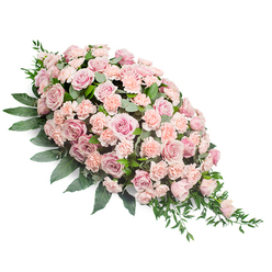 This image presents a serene casket spray resting on a bright white surface, its composition unfolding in a flowing teardrop shape that begins full and rounded at the upper left, then thins gracefully to a fine point at the lower right. At the heart of the design are numerous pastel pink roses, their soft petals gently unfurled in varying stages of bloom. Some roses are wide open, revealing intricate, layered centres, while others are half-open buds, adding gentle variation and depth. Between and beneath these roses nestle clusters of light peach-pink carnations, their ruffled, almost feathery petals creating a sense of volume and softness, like a cushioned bed of blossoms. Lush dark green foliage supports and surrounds the flowers: broad, solid leaves hug the base, while finer greenery and slender, trailing stems extend outward, particularly along the spray's pointed tip, giving a feeling of natural, unforced elegance. The contrast between the cool white background and the warm blush of the flowers makes the colours appear calm yet radiant, reminiscent of soft evening light over Mill Hill's tree-lined streets. The overall mood is one of quiet comfort and respectful tribute, well-suited to funerals, memorial services, or cremations held in and around Mill Hill, Totteridge, or Hendon. Crafted with the care of an experienced local florist, the spray appears ready to be laid gently atop a casket or placed beside a cherished photograph, offering a visual expression of sympathy, gratitude, and enduring love to those gathered in remembrance.