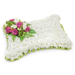 Meticulously designed for remembrance, this rectangular floral pillow is completely covered in dense, little white chrysanthemums that create a plush, cloud-like surface and a sense of peaceful repose. The uniform white field is trimmed with a finely pleated light-green satin ribbon that slightly peeks from beneath the blooms, offering a cool, restorative edge and a neat finish that catches the light. In the upper-left corner an elegant spray of deep magenta and fuchsia roses provides a luminous focal point; the roses' layered, velvety petals open like small lanterns of colour against the white, while clusters of delicate white freesias and tiny buds thread between them, lending fragrance and a soft contrast. Sprays of fern fronds and glossy foliage underpin the cluster, their linear shapes and varied greens creating depth and framing the accent blooms with natural movement. The pillow rests on a crisp white surface with a soft, natural shadow beneath, making the piece feel grounded and dimensional. As a traditional sympathy design, it conveys dignity, comfort and the quiet language of condolences, a choice often requested by families arranging services near Mill Hill Broadway, Mill Hill Village or The Ridgeway. Crafted with attentive hands and floral knowledge by Flowers Mill Hill, this tribute balances tactile texture, gentle scent and composed colour to offer solace when words fall short and to honour a life with grace.
