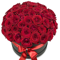 Dramatically arranged for impact and intimacy, this hatbox bouquet of rich red roses is the quintessential romantic gesture in Mill Hill. Each flower brims with velvety petals, unfolding in harmonious layers that create a domed shape dense with color and emotion. The roses vary-from those softly unfurling at the edge to the tender, furled centers-creating depth and an inviting sense of touch, akin to wandering through Mill Hill Park on a fragrant summer morning. The sophisticated matte black hatbox grounds the brilliance of the roses, subtly reflecting the area's blend of tradition and modernity. A broad satin red ribbon, wrapped gracefully around the box, is tied into a show-stopping bow at the front, its knot highlighted by a twinkling crystal brooch that catches ephemeral daylight. Framed by a pure white background, this arrangement is the definition of luxury and love-a perfect gift for Valentine's Day romances, milestone anniversaries on Daws Lane, or heartfelt occasions best marked with local floral artistry. The scent is subtly intoxicating, reminiscent of garden roses after a soft rainfall, elevating the bouquet's presence in any NW7 setting.