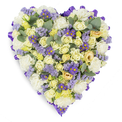 A lovingly arranged heart-shaped funeral tribute captured on a plain white background, its form crisply edged by a folded purple satin ribbon that gives the design a refined finish. The densely packed centre is dominated by cream and pale yellow roses-tight buds alongside softer blossoms-creating a plush, velvety surface that speaks of gentle devotion. Interspersed among the roses are plentiful white carnations, their ruffled faces adding familiar comfort and visual fullness. Threaded through the light base are clusters of lavender-hued statice and brighter, daisy-like purple flowers with clear yellow centres that introduce sprightly notes of deeper colour and delicate texture. Rounded eucalyptus leaves, with their cool blue-green tone and slightly waxy surface, are tucked throughout to breathe a hint of natural freshness into the composition and to ease the floral density. The arrangement sits in soft studio light that highlights petal edges and the satin ribbon's sheen, imparting a peaceful, reflective mood suited for memorials. This heart conveys a message of enduring love and remembrance-an appropriate choice for funeral services, a wake, or as a graveside tribute-and would be recognisable on floral carts around Mill Hill Broadway or when arranged by Flowers Mill Hill for local families seeking a dignified expression of sympathy. The overall effect is one of careful craftsmanship, understated beauty, and compassionate intent, designed to comfort and honour a cherished life.