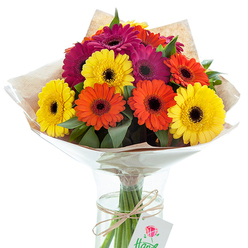 Celebrating the essence of Mill Hill's tranquil charm, this hand-tied arrangement of Gerbera daisies is lovingly crafted to evoke happiness and gratitude. Spirited clusters in luminous yellow, fiery orange, and deep magenta flourish from a clear glass vase, each flower's central dark disk igniting a sense of lively contrast. The tactile quality of their broad, soft petals and the freshness of curling green leaves conjure the feeling of meandering through Mill Hill's flourishing gardens. Featuring carefully layered brown Kraft paper wrapping with a crinkled, bright cellophane overlay, this bouquet exudes rustic elegance and protection, reminiscent of gifts exchanged on quiet streets like Daws Lane. Stems are visible and orderly, grouped in sparkling water and finished with a simple natural twine accent from which a white tag bearing a hand-drawn red rose motif swings gently, adding a thoughtful artisan detail. The studio lighting falls softly, illuminating each bloom's bold colour while suggesting the gentle promise of spring along the Ridgeway. Whether adorning a celebration table or meant as a heartfelt thank you, this arrangement is a joyful expression of community connection and the timeless beauty Mill Hill florists bring to every occasion.
