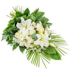 An elegant, one-sided sympathy spray in timeless white and green is photographed against a pure white background, allowing every bloom and leaf to stand out clearly. Dominating the composition are large white lilies, their silky petals unfolding into trumpet shapes that curve gently outward, revealing soft green throats and pale yellow-green stamens. Some lily buds remain closed, adding vertical interest and a sense of unfolding remembrance. Around these central flowers, clusters of ivory and white roses sit at different stages of bloom, their layered petals creating a gentle, romantic texture. Ruffled white carnations nestle between the roses and lilies, lending fullness and a soft, cushion-like feel. Scattered throughout are crisp white gerbera-type flowers, each with a discreet dark or creamy centre, giving a contemporary note within the traditional funeral palette. Tiny sprigs of delicate white filler flowers sit among the larger blooms, filling gaps and adding an airy, lace-like quality. The floral cluster rises from a substantial base of foliage: broad, shining dark green leaves bring structure, while fine fern fronds create a feathery edge that softens the outline. Rounded eucalyptus leaves, in muted green-blue, punctuate the greens with cool, calming circles of colour. At the upper part of the spray, narrow, arching leaves are artfully wrapped into vertical bundles, showing careful craftsmanship. Extending from the lower right, numerous slender palm fronds fan outward, shaping the piece into an elongated, slightly asymmetrical silhouette that feels both modern and serene. This dignified composition would be at home in a quiet Mill Hill funeral service, a memorial near Mill Hill Park, or placed beside a coffin or urn as a gentle tribute, available for delivery through Flowers Mill Hill to local homes and chapels.