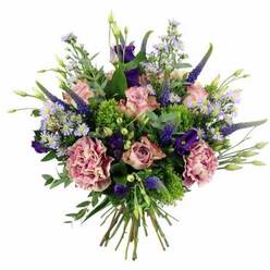 This image presents a lush, meticulously arranged bouquet resting against a clean white backdrop, every flower positioned with the steady hand of a seasoned Mill Hill florist. The central focus is a cluster of soft pink roses, their petals unfolding in gentle spirals, some buds just beginning to open while others are fully bloomed, revealing layered centres tinged with deeper shades of rosy blush. Surrounding these are generous carnations in complementary tones of dusty rose and mauve, their ruffled petals packed densely together to create a sense of volume and luxurious texture, as comforting and rich as a favourite throw in a Mill Hill home. Shooting upward through this plush base are multiple stems of deep indigo Veronica, their slender, tapered spires adding height, structure, and a contemporary edge to the otherwise romantic design. Nestled among the taller elements, velvety purple lisianthus blooms bring pockets of rich colour and a smooth, bell-like form that contrasts beautifully with the frill of the carnations. Fine, airy sprays of lavender-blue aster-style flowers, each centred with a tiny hint of yellow, drift through the arrangement, lending a wildflower charm reminiscent of the calmer corners of Mill Hill's green spaces. The floral display is supported by a generous collar of greenery: bright lime-green filler flowers lend energy and brightness, while silvery eucalyptus leaves and soft sage foliage add layered texture and cool, soothing tones. The stems are gathered neatly at the base into a tight hand-tied bundle, cut straight and visible below the bloom-filled crown, ready for a vase on a windowsill overlooking Mill Hill Broadway. The overall feeling is of elegance with a modern twist, perfectly suited to birthdays, anniversaries, or thoughtful thank-you gifts delivered across the local area by Flowers Mill Hill.