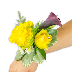 Set against a crisp white backdrop, this wrist corsage reads like a small, wearable bouquet crafted for milestone moments in and around Mill Hill Village. Two luminous yellow roses form the focal duet: a larger open bloom to the left and a smaller, more cupped rose to its right, each ribboned at the centre with a single clear diamante that twinkles with movement. Rising just behind them is a deep, near-black plum calla lily whose trumpet curve creates a dramatic silhouette and a refined colour contrast that feels like twilight folded into sunshine. Feathery asparagus fern and slender green tendrils thread through the arrangement, adding lightness, while generous variegated leaves - creamy-edged, waxy, and reassuringly structured - anchor the design. Tiny clusters of white button-like filler peek through, providing softness and volume without obscuring the main flowers. The corsage is fitted to a light-to-medium wrist and angled diagonally from the bottom-left of the frame to the centre-right, showing how it sits naturally when worn.

Prepared with the eye of a local Mill Hill florist, Flowers Mill Hill would describe the piece as ideal for prom, a bridal party member walking past Mill Hill Park, or a guest arriving from Mill Hill Broadway; its scent is gently floral and fresh, and the mix of textures invites a close, appreciative glance. The composition balances cheer and polish, suited to both daytime ceremonies and evening receptions on The Ridgeway.