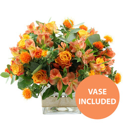 A vibrant bouquet in rich oranges and sunny yellows is presented front and centre on a pristine white backdrop, evoking the welcoming warmth of an early evening in Mill Hill. Dominating the arrangement are several large orange roses, their velvety petals layered in generous curls, with some blooms blending softly to yellow at the heart, like small sunsets gathered together. Tucked among these are bright yellow garden roses, their compact, multi-petalled heads creating rounded cushions of colour that lend a sense of solidity and comfort. Woven through the roses, stems of peach and light orange alstroemeria introduce a lighter, more delicate note; each Peruvian lily flower has slender, slightly flared petals adorned with subtle freckles and stripes, lending pattern and movement to the design. Scattered throughout, clusters of small, spiky orange spheres-similar to safflower or thistle heads-stand upright, bringing a tactile, textural edge and a hint of wild meadow character. The flowers are surrounded by an abundance of greenery: broad eucalyptus leaves with a soft, silvery cast sit beside darker, glossy foliage, creating a layered frame that pushes the vivid blooms forward. All the stems are neatly arranged inside a transparent square glass vase, allowing the viewer to see the clean lines of the stems and the clarity of the water, suggesting freshly conditioned flowers ready for same-day delivery across Mill Hill and nearby streets off the Broadway. Around the middle of the vase, a wide band of natural beige burlap is wrapped smoothly, its rustic texture balancing the polished glass and echoing the leafy, garden-inspired mood. In the bottom right corner, a bold orange circle displays "VASE INCLUDED" in crisp white capitals, signalling that this joyful, autumn-leaning arrangement comes as a complete, easy-to-display floral gift for birthdays, anniversaries, or simply brightening a favourite room.