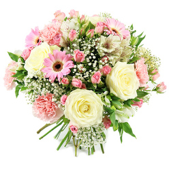 Captured against a bright white background, this hand-tied bouquet offers a lush, rounded cluster of blossoms in soft pink, cream, and ivory, echoing the calm, elegant character of Mill Hill's tree-lined avenues. Several large cream-coloured roses form the backbone of the arrangement, their petals unfurling in smooth, layered spirals that give an immediate sense of luxury and classic romance. Woven around these roses are smaller pink spray roses, a scattering of buds and tiny, open blooms that add both movement and a patchwork of rosy tones throughout the bouquet. Pops of vivid pink gerbera daisies stand out with their tidy, flat petals and dark brown centres, bringing a bright, cheerful accent that keeps the palette lively. Light pink carnations contribute generous volume, each bloom made up of finely ruffled petals that create a soft, almost cloud-like texture, perfect for those who love a fuller, more tactile bouquet. Interspersed among the larger flowers are white alstroemeria, their elegant, elongated petals touched with fine, natural streaks of reddish-brown on the interior, adding subtle pattern and depth. Airy sprigs of gypsophila are sprinkled liberally through the design, the countless tiny white flowers forming a delicate, misty veil around the more substantial blooms. Fresh, vivid green leaves and stems peek through just enough to frame the flowers, enhancing the pastel shades and evoking the freshness of a morning walk near Mill Hill Broadway. The stems are tightly gathered and clearly hand-tied, ready to be delivered locally, making this bouquet a thoughtful choice for expressing love, gratitude, or best wishes for new beginnings in and around Mill Hill.