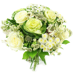Captured against a clean white background, this generous hand-tied bouquet feels like a breath of fresh Mill Hill air brought indoors, with its harmonious mix of white blooms and layered green tones. At its heart, several ivory and creamy white roses are fully open yet still softly cupped, their velvety petals overlapping in gentle spirals that speak of timeless elegance and a subtle, comforting scent. Cradled among these roses are ornamental cabbage blooms, their deep green outer leaves unfurling around tightly ruffled centres in pale lime and yellow-green; their bold, textured presence gives the bouquet a distinctive, contemporary character. Between these focal flowers, small white spray chrysanthemums and daisy-like blossoms gather in loose clusters, each one formed by fine white petals around a muted yellow-green centre, creating a soft, cushiony effect and filling the design with airy detail. Threaded delicately throughout are stems of astrantia, their tiny, star-shaped greenish-white florets clustered into neat heads that lend a touch of wild garden charm, reminiscent of walks near Mill Hill Park in early spring. Subtle glimpses of slender white alstroemeria petals, some with faint linear markings, curve gently from the heart of the bouquet, adding another layer of refinement. A generous frame of fresh foliage encircles the flowers, combining broad, glossy leaves with more delicate, feathery greenery to deepen the greens and give the arrangement a natural, garden-picked feel. The stems are neatly gathered and tied at the base, ready to be placed in a glass vase on a sideboard overlooking the quiet streets around Mill Hill Broadway. The overall effect is cool, calming, and sincere, ideal for weddings, sympathy flowers, or a thoughtful same-day delivery gesture within Mill Hill and the surrounding North London neighbourhoods.