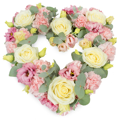 A tender heart-shaped funeral wreath is shown against a spotless white backdrop, where its pastel flowers and silvery foliage create an atmosphere of calm reflection. The heart is dense and complete, with not a single visible gap, so the eye moves over a continuous tapestry of petals and leaves. Creamy ivory and pale yellow roses form the main focal blooms, their velvety petals tightly spiralling at the centre and softly unfurling toward the edges, embodying purity, gratitude, and lasting affection. Between them, ruffled pastel pink carnations gather in generous clusters, their finely fringed petals overlapping to give the arrangement a soft, billowing texture similar to the gentle rise and fall of the fields around Mill Hill. Deeper mauve-pink lisianthus blossoms add a thoughtful accent, their more open, cup-shaped flowers and occasional darker centres bringing subtle depth and a sense of heartfelt sincerity. Delicate yellow-green buds peek through the pastels as small promises of life continuing quietly, even in moments of loss. The whole heart is threaded with cool, silvery eucalyptus foliage, the rounded leaves catching the light and shaping the outline so that the heart feels steady and composed. The colour palette remains soothing-creamy whites, blush pinks, warm lemon tones, and muted greens combine to evoke peace, remembrance, and gentle comfort. Designed with the sensitivity of a local Mill Hill florist who often supports families during times of bereavement, this heart-shaped tribute is well suited to funerals, memorials, or cremations, whether placed beside a coffin, on a stand near the altar, or at a graveside as a final, loving farewell.
