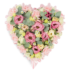 A softly coloured, heart-shaped funeral tribute lies against a pure white backdrop, its curves traced in flowers that speak of quiet remembrance, ideal for a farewell service in Mill Hill or a nearby chapel. The heart's outline is formed by a deep collar of pale pink carnations, packed closely so their frilled petals create a luxuriously cushioned edge. Peeking from this border, a light pink satin ribbon follows the shape of the heart, catching the light with a gentle sheen and tying into small, elegant bows at the top and base, echoing the sense of a lovingly wrapped gift. Inside the border, the heart is generously filled with pastel blooms. Pink lisianthus, with their softly ruffled petals, provide the main focal points, their blossoms at differing stages of opening for a natural, garden-like feel. Among them sit clusters of creamy and buttery-yellow spray roses, each small bud contributing warmth and a sense of quiet hope. Scattered throughout are tiny daisy-style white flowers with sunny yellow centres, bringing a delicate, meadowy charm that lightens the overall look. Eucalyptus foliage, with its round, silvery-green leaves, winds through the design alongside richer green leaves, adding depth, movement, and a sense of gentle fragrance. The arrangement looks freshly made, as if prepared by an experienced Mill Hill florist who understands the nuance of sympathy flowers and local funeral traditions. The overall impression is one of tenderness and calm, a floral heart that offers visual comfort and conveys heartfelt condolences to families and friends gathered to remember a loved one in and around Mill Hill.