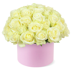 In this image, a rounded hat box overflows with roses that appear almost cloud-like, forming a plush, domed cushion of petals held neatly above a circular pastel pink base. The box itself is simple and elegant, with a matte surface that looks smooth to the touch, reminiscent of luxury gift boxes displayed in boutique windows along Mill Hill Broadway. From its rim springs an abundant gathering of roses, each bloom placed so closely that only the faintest glimpses of greenery can be seen. The flowers range in tone from soft cream to pale ivory, with some hearts tinged by a subtle wash of buttery yellow, giving the arrangement a gentle inner glow. The petals look velvety and thick, overlapping in intricate spirals that lend each rose its own personality while still contributing to the unified dome form. The composition feels meticulously balanced, with no single stem standing out, just a harmonious sweep of roses creating a gently rounded silhouette that seems to spill just slightly over the box's edge. Against the crisp white background, the blush-pink container and neutral roses stand out clearly, evoking the romance and warmth of an anniversary surprise. It is easy to imagine this hat box arriving as a same-day delivery in Mill Hill, perhaps as a discreet yet heartfelt declaration left at a front door near Mill Hill East station or set at the centre of a candlelit dinner table. The overall mood is one of quiet luxury and sincere affection, captured in the understated palette and expert craftsmanship of the arrangement.
