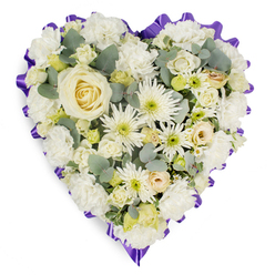 A serene heart-shaped floral tribute is photographed against a crisp white backdrop, allowing its gentle colours and intricate textures to take centre stage. The heart is fully carpeted with white and cream blooms, giving an impression of depth and softness, as though it has been quilted in petals. At the core of the arrangement, a single creamy ivory rose opens in perfect symmetry, its velvety petals forming a calm focal point that suggests devotion and cherished memories. Surrounding this rose, clusters of white carnations provide a billowing, cloud-like texture, their ruffled edges catching the light and bringing a softness that feels comforting to the eye. Interwoven through the carnations are white spider chrysanthemums and daisy-style flowers, each with delicate, radiating petals and small green or pale lemon centres, reminiscent of the gentle brightness of a clear morning over the fields near Mill Hill East. Smaller cream roses, perhaps with the faintest hint of buttery yellow, and tiny buds or filler blooms are carefully placed, adding detail and a sense of considered craftsmanship. Cool-toned eucalyptus foliage in a muted blue-green is tucked throughout, the rounded leaves offering an organic counterpoint to the many petalled faces, giving the tribute a fresh yet restful character. Encircling the entire piece is a ruffled, deep purple ribbon that folds and pleats into a scalloped frame, firmly defining the heart shape and adding a dignified, respectful finish. This floral heart feels like a quiet message of comfort, the sort of arrangement Flowers Mill Hill might prepare for a funeral or memorial service, whether for a family gathering near Mill Hill Broadway or a more private farewell on a hillside overlooking the area.