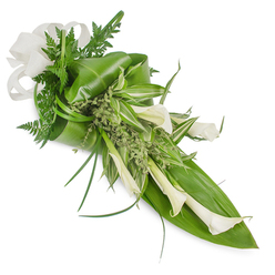 This elongated hand-tied spray reads like a lesson in quiet elegance, photographed against a pristine white background to highlight every texture and tonal shift. Several creamy white Calla lilies take centre stage, their sculptural, trumpet-shaped forms angling down and to the right so the eye travels along the design's graceful diagonal. Beneath them, large glossy leaves - reminiscent of Ti or tropical foliage - provide a deep, structured base; one broad leaf sits prominently along the lower right as a backing, while another leaf is softly folded near the upper left to add sculptural contour. Interwoven are slim, striped variegated leaves that lend crisp highlights through the middle of the arrangement, and delicate fern fronds rise in the top area, their feathered fronds introducing air and gentle contrast. Fine, grass-like blades arc away from the core, suggesting movement, while tiny, almost frothy green sprigs nestle between elements to soften transitions and contribute a fresh, leafy perfume. At the upper left a textured off-white linen-style bow ties the bouquet together, providing a tactile, understated finish. This composition feels equally at home as a bridal accent, a refined table piece or a comforting sympathy tribute; the cool white blooms and deep greens read as purity and calm. Crafted with local sensibility for residents around Mill Hill Broadway and The Ridgeway, Flowers Mill Hill would prepare and hand-deliver a piece like this with attention to freshness and finish for neighbourhood occasions large and small.