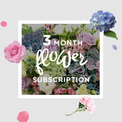 This image shows a hand-crafted bouquet from a three-month flower subscription, arranged with the calm, polished feel of a Mill Hill home. The design is anchored by plump, rounded heads of blue hydrangeas, their many small petals creating a dense, cushioned texture in layered tones of soft sky and muted periwinkle. Surrounding them are roses in tender blush and lilac shades, each bloom carefully placed so that some stand proudly open, showing their intricate petal spirals, while others remain in tighter bud, adding a sense of quiet anticipation. Threaded delicately between these larger blooms, lisianthus stems in white and pale lavender introduce a frilled, airy edge, their slender petals almost fluttering in the light. Lush greenery, in various shapes from elongated to more rounded leaves, frames the flowers and spills gently around the edges, much like the foliage you might see in the mature gardens off Lawrence Street or around Mill Hill Circus. Soft, directional daylight washes over the bouquet, illuminating the pastel palette and creating fine shadows that enhance the depth of each flower head and leaf. The arrangement feels balanced and composed, neither overly formal nor casual, making it versatile enough for a hallway console, a kitchen island, or a bedside table in NW7. The mood it conveys is one of gentle care and subtle luxury, as though the flowers are there to invite you to slow down for a moment each day. The three-month subscription hinted at here suggests the ongoing comfort of knowing a fresh, thoughtfully arranged bouquet will be delivered regularly to your Mill Hill address, marking the passing weeks with new colours, soft scents, and a reassuring touch of nature indoors.